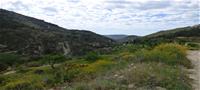 Terreno  en Relleu  (Ref. T810CJO )