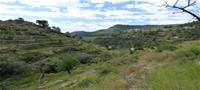 Terreno  en Relleu  (Ref. T810CJOA)