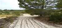 Terreno  en Relleu  (Ref. T819CJO )