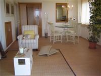Living-Dining Room